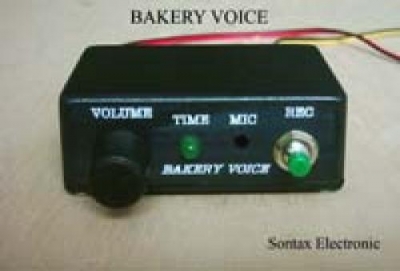 Voice Recorder